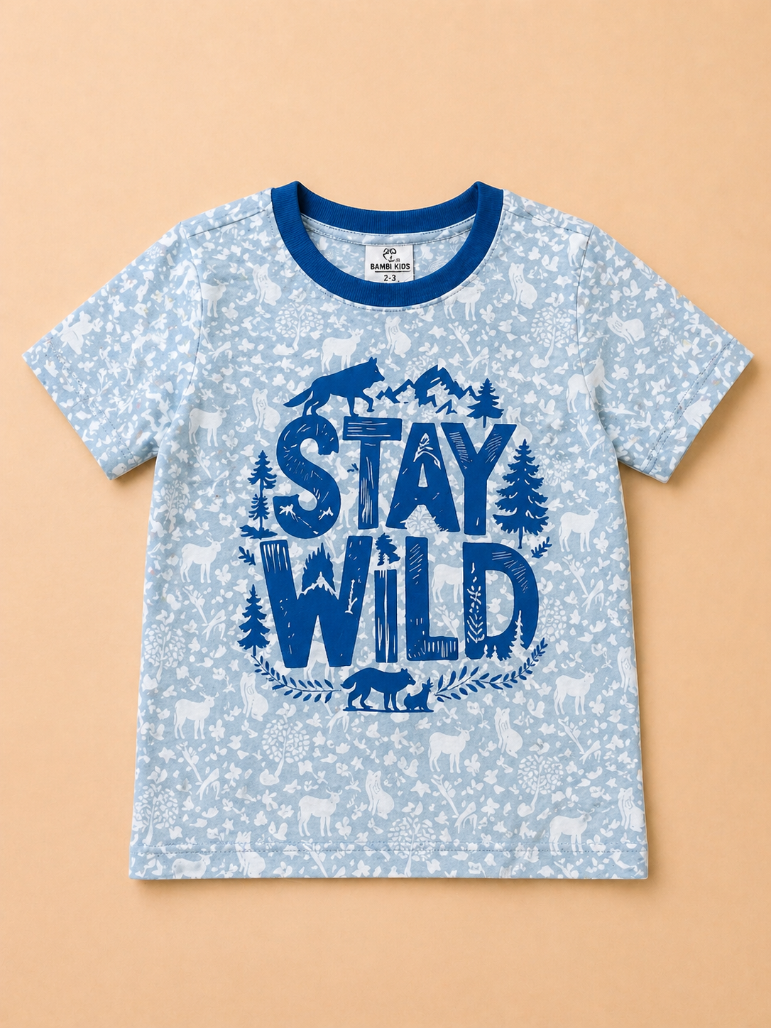 Boys Graphic T-Shirt