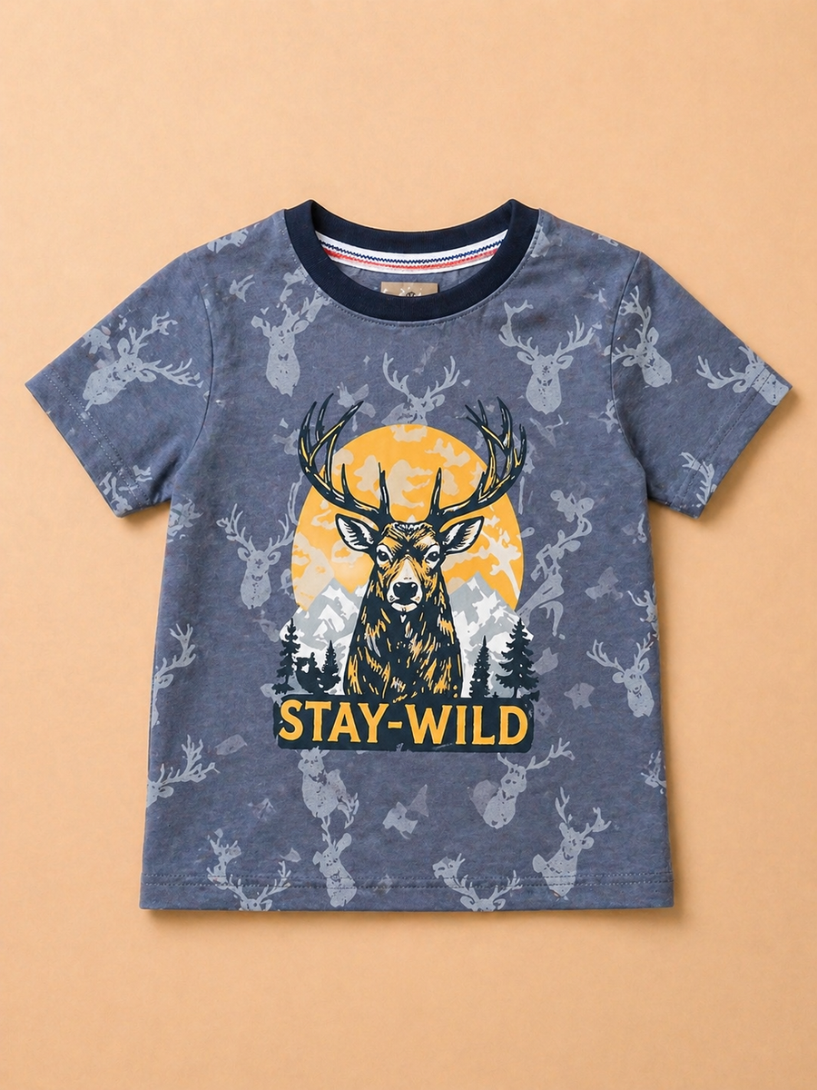 Boys Graphic T-Shirt