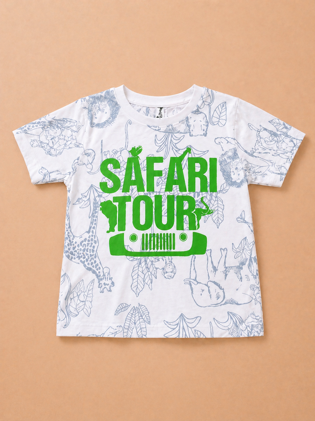 Boys Graphic T-Shirt