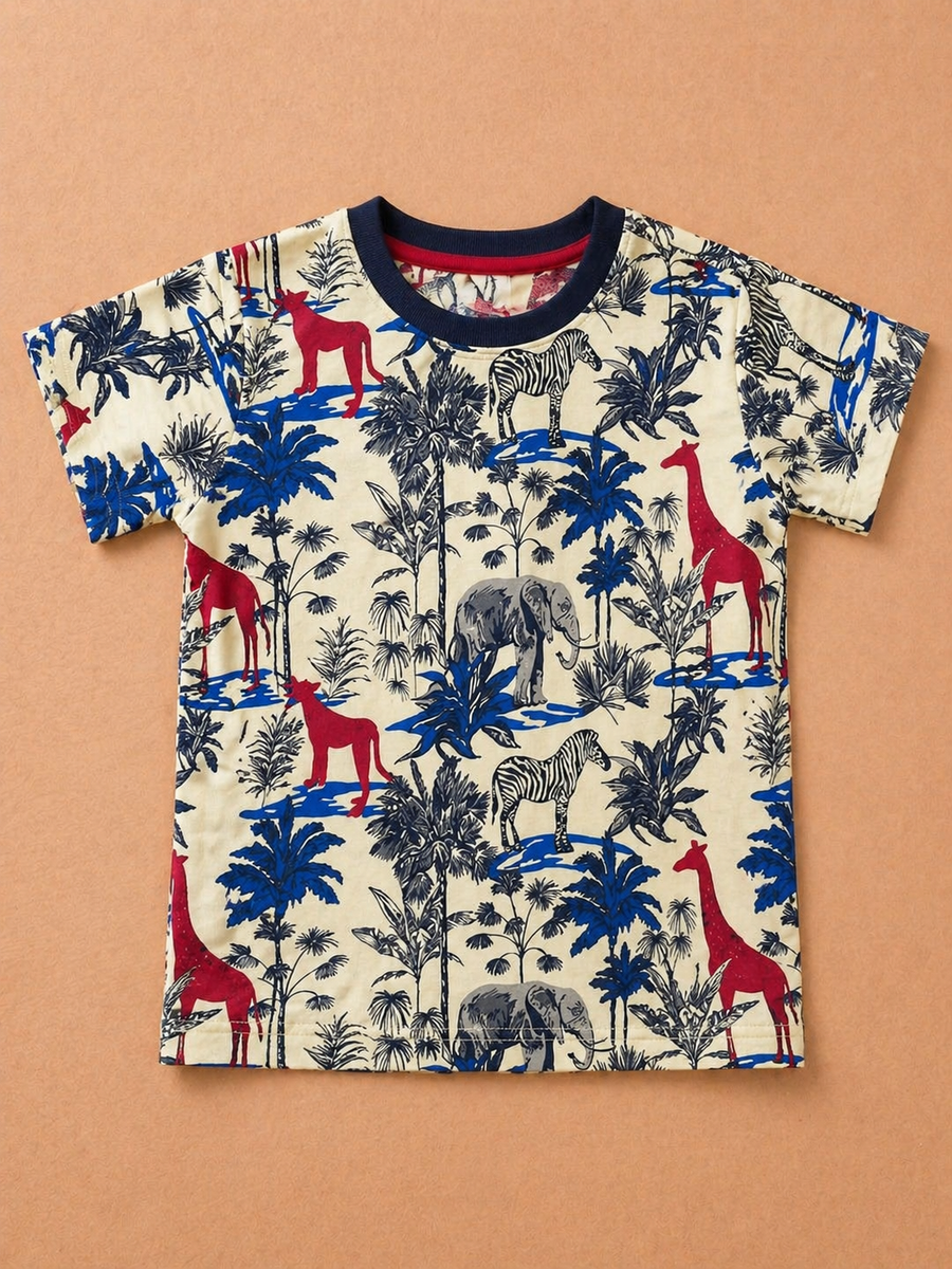 Boys Graphic T-shirt