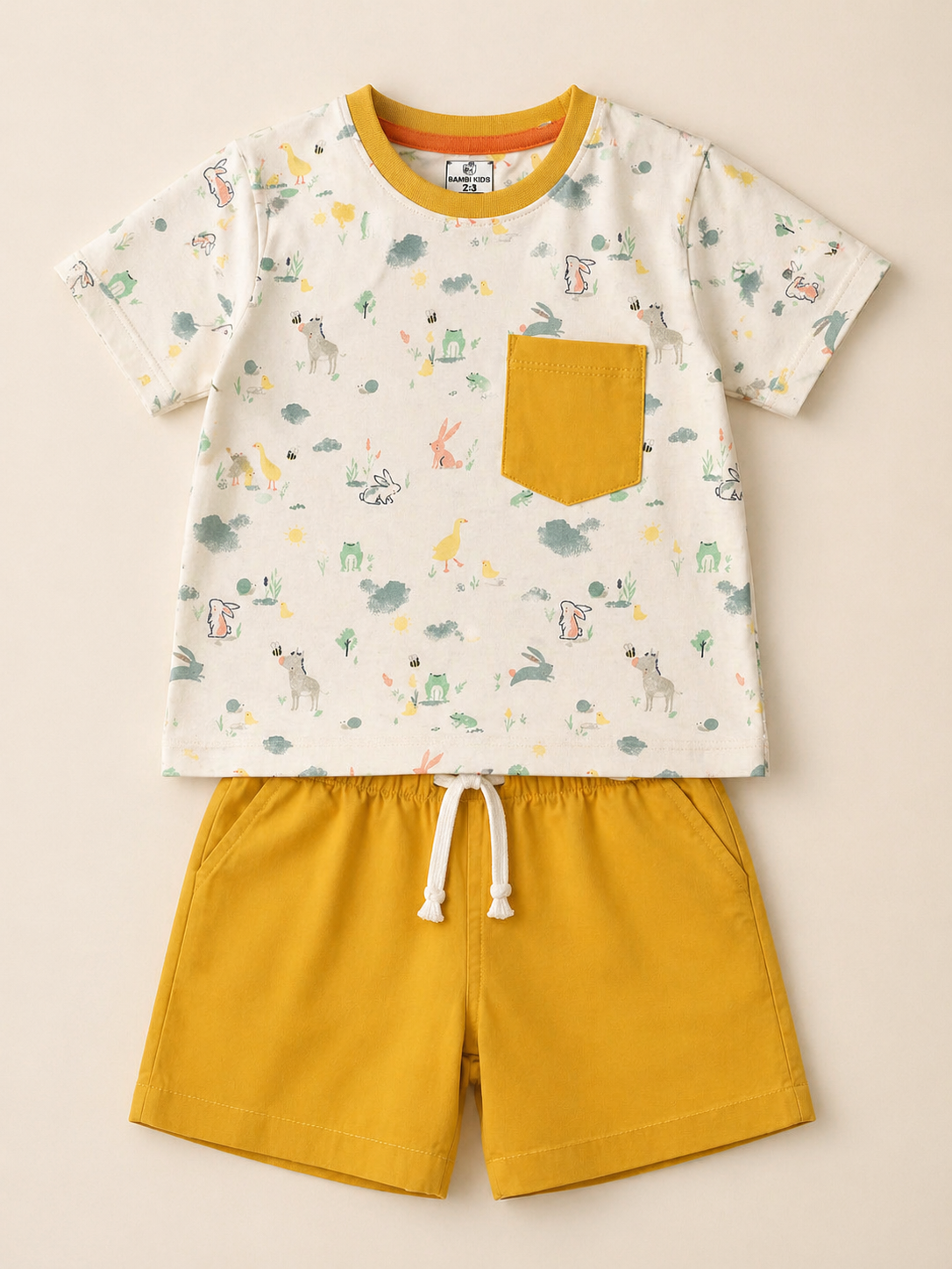 Boys Printed T-Shirt & Short Set