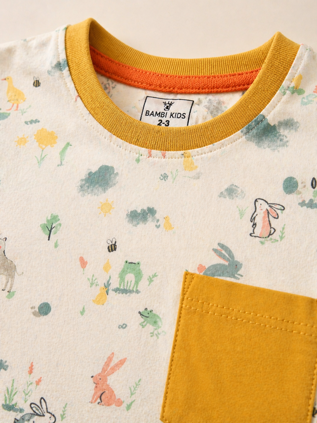 Boys Printed T-Shirt & Short Set