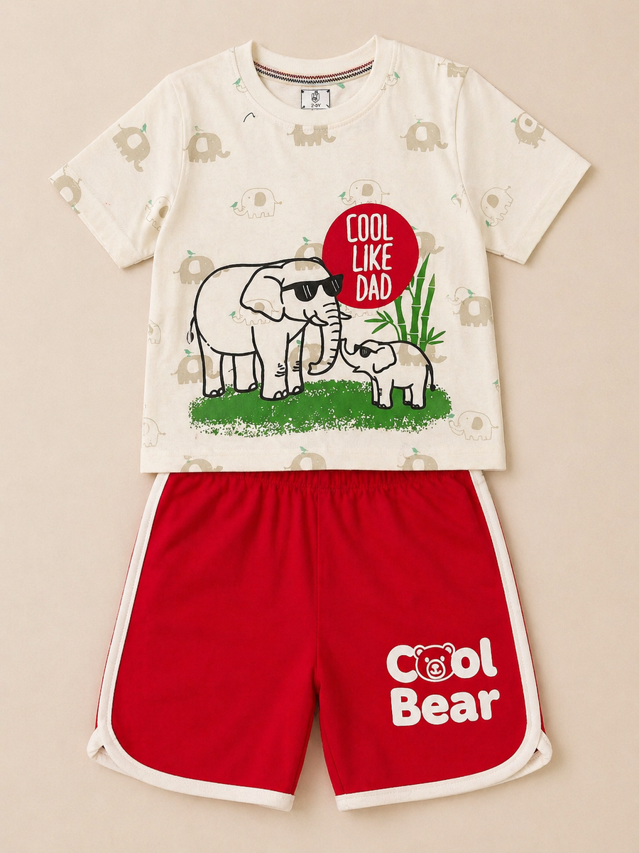 Boys Graphic T-Shirt & Short Set