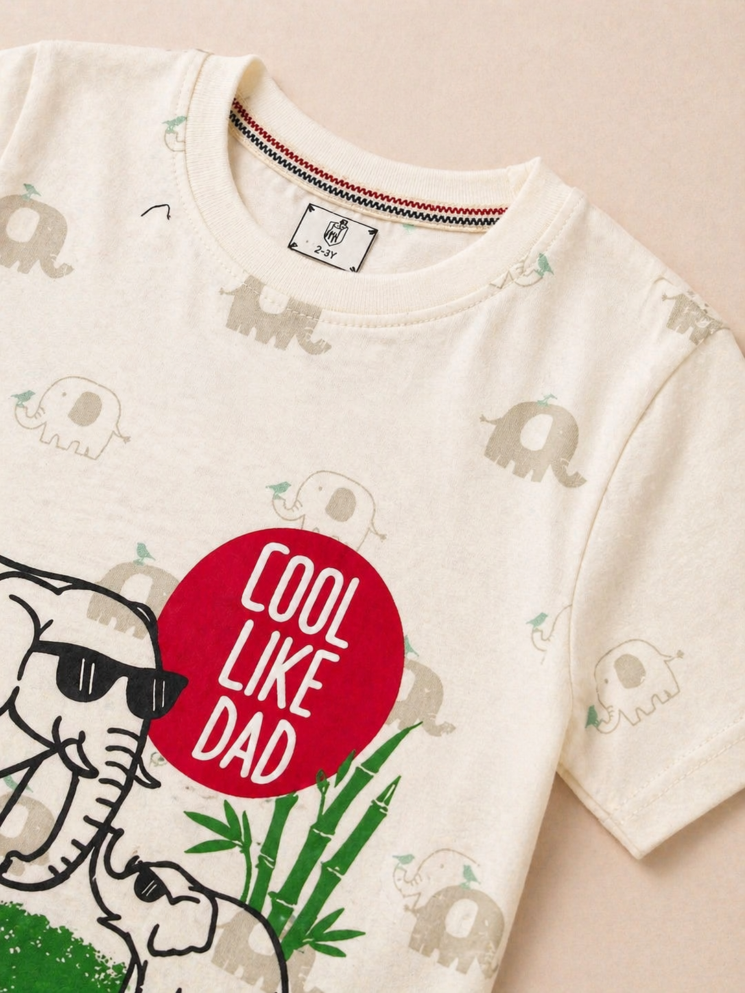 Boys Graphic T-Shirt & Short Set
